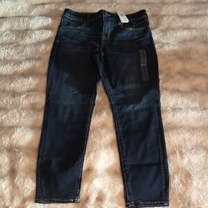 American Eagle Outfitters Women's Deep Indigo Skinny Jeans
